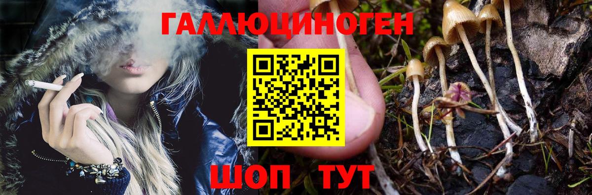 Псилоцибиновые грибы GOLDEN TEACHER  Вход с VPN  Гусев 